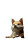 Shiba Inu Poker Vinyl Car Decal Sticker – Waterproof & UV-Resistant 8"