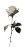 Rose Drawing Vinyl Car Decal Sticker – Waterproof & UV-Resistant 8"