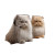 Working Persian Cats V2 Vinyl Car Decal Sticker – Waterproof & UV-Resistant 8"