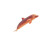 Dolphin Sausage Hybrid Vinyl Car Decal Sticker – Waterproof & UV-Resistant 8"