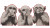 Three Wise Monkeys V2 Vinyl Car Decal Sticker – Waterproof & UV-Resistant 8"