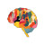 Brain Human Bodies Vinyl Car Decal Sticker – Waterproof & UV-Resistant 8"