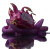 Purple Dragonfruit Dragon Vinyl Car Decal Sticker – Waterproof & UV-Resistant 8"