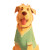 Dog V12 Vinyl Car Decal Sticker – Waterproof & UV-Resistant 8"