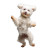 Dancing White Dog Vinyl Car Decal Sticker – Waterproof & UV-Resistant 8"