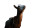 Goats Stargazing Vinyl Car Decal Sticker – Waterproof & UV-Resistant 8"