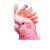Pink Cockatoo Illustration Vinyl Car Decal Sticker – Waterproof & UV-Resistant 8"
