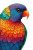 Boho Lorikeet Painting Vinyl Car Decal Sticker – Waterproof & UV-Resistant 8"