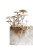 Mushroom Cluster Art Vinyl Car Decal Sticker – Waterproof & UV-Resistant 8"