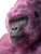 Purple Cotton Candy Gorilla V3 Vinyl Car Decal Sticker – Waterproof & UV-Resistant 8"