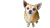 Cute Old Chihuahua Vinyl Car Decal Sticker – Waterproof & UV-Resistant 8"
