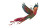Colorful Bird Flying Vinyl Car Decal Sticker – Waterproof & UV-Resistant 8"