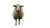Sheep In Yard Vinyl Car Decal Sticker – Waterproof & UV-Resistant 8"