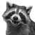 Smiling Raccoon Portrait Vinyl Car Decal Sticker – Waterproof & UV-Resistant 8"