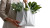 Vegetable Paper Bag Vinyl Car Decal Sticker – Waterproof & UV-Resistant 8"