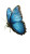 Blue Morpho Butterfly V2 Vinyl Car Decal Sticker – Waterproof & UV-Resistant 8"