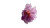 Lilac Petals Close-Up Vinyl Car Decal Sticker – Waterproof & UV-Resistant 8"