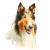 Rough Collie Illustration Vinyl Car Decal Sticker – Waterproof & UV-Resistant 8"