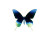 Black Butterfly Vinyl Car Decal Sticker – Waterproof & UV-Resistant 8"