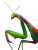 Majestic Aggressive Mantis Vinyl Car Decal Sticker – Waterproof & UV-Resistant 8"