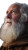 Wise Elderly Man V5 Vinyl Car Decal Sticker – Waterproof & UV-Resistant 8"