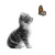 Kitten And Butterfly Vinyl Car Decal Sticker – Waterproof & UV-Resistant 8"