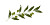 Olive Branch Logo Vinyl Car Decal Sticker – Waterproof & UV-Resistant 8"