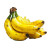 Bananas V2 Vinyl Car Decal Sticker – Waterproof & UV-Resistant 8"