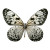 White Butterfly V3 Vinyl Car Decal Sticker – Waterproof & UV-Resistant 8"