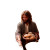 Jesus Feeding Multitude Vinyl Car Decal Sticker – Waterproof & UV-Resistant 8"