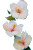 Sparkling Hibiscus Blossoms Vinyl Car Decal Sticker – Waterproof & UV-Resistant 8"