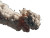Spacex Explosion Vinyl Car Decal Sticker – Waterproof & UV-Resistant 8"