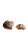 Rustic Sourdough Loaf Vinyl Car Decal Sticker – Waterproof & UV-Resistant 8"