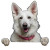 Cute Shepherd Dog Vinyl Car Decal Sticker – Waterproof & UV-Resistant 8"