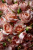 Peach Roses Heads Vinyl Car Decal Sticker – Waterproof & UV-Resistant 8"