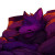 Purple Wolf Fursona Vinyl Car Decal Sticker – Waterproof & UV-Resistant 8"