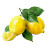 Lemon Watercolor Sticker Vinyl Car Decal Sticker – Waterproof & UV-Resistant 8"