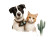 Scout&Buster Logo Vinyl Car Decal Sticker – Waterproof & UV-Resistant 8"