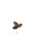 Cocoa Beans Logo Vinyl Car Decal Sticker – Waterproof & UV-Resistant 8"