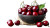 Fresh Cherries Bowl Vinyl Car Decal Sticker – Waterproof & UV-Resistant 8"