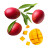 Fresh Mango Fruits Vinyl Car Decal Sticker – Waterproof & UV-Resistant 8"