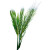 Young Wheat Vinyl Car Decal Sticker – Waterproof & UV-Resistant 8"