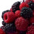 Raspberries And Blackberries Vinyl Car Decal Sticker – Waterproof & UV-Resistant 8"