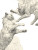 Dramatic Cats Fighting Vinyl Car Decal Sticker – Waterproof & UV-Resistant 8"
