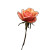 Smooth Rose Vinyl Car Decal Sticker – Waterproof & UV-Resistant 8"