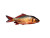 Fresh Roach Fish Vinyl Car Decal Sticker – Waterproof & UV-Resistant 8"