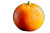 Vivid Orange Macro Vinyl Car Decal Sticker – Waterproof & UV-Resistant 8"