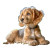 Cocker Spaniel V2 Vinyl Car Decal Sticker – Waterproof & UV-Resistant 8"