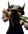Doberman With Tulips Vinyl Car Decal Sticker – Waterproof & UV-Resistant 8"