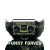 Funky Forever Vinyl Car Decal Sticker – Waterproof & UV-Resistant 8"